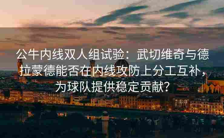 公牛内线双人组试验:武切维奇与德拉蒙德能否在内线攻防上分工互补,为球队提供稳定贡献?