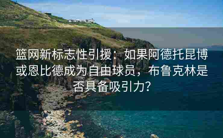 篮网新标志性引援:如果阿德托昆博或恩比德成为自由球员,布鲁克林是否具备吸引力?